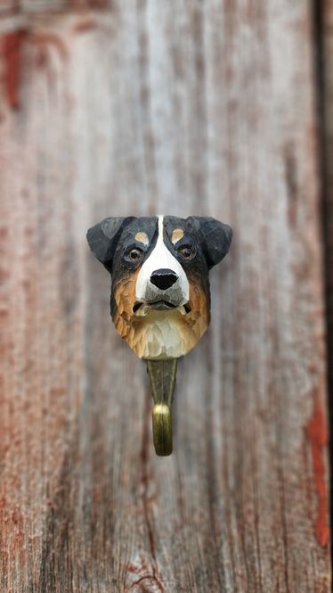 Hovedbilde Krok Australsk gjeterhund