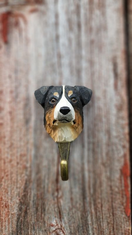 Krok Australsk gjeterhund